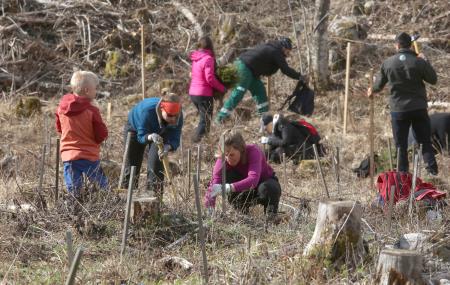 POGOZDOVANJE V RAKOVEM ŠKOCJANU 28 FOTO LJUBO VUKELIČ